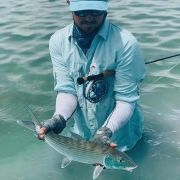 Angler releasing snook Chetumal