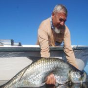 Angler releasing his amazing tarpoon catch
