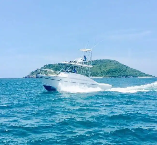 boat fishing mazatlan