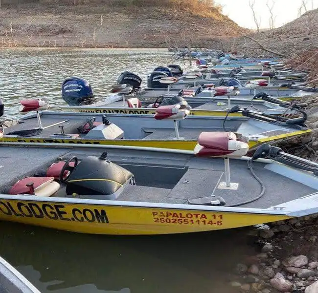 boats el salto