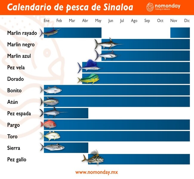 Fishing Season Calendar Mazatlán Sinaloa