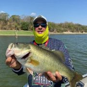 great catch black bass fishing lake picachos