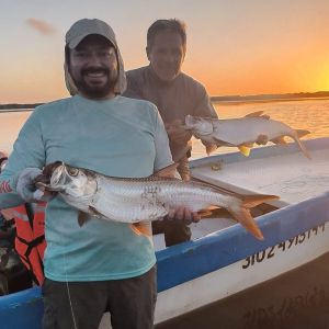 San Felipe – Fly Fishing