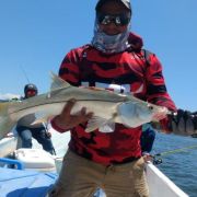 snook catch happy angler celestum