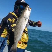 sparkeld trout catch celestun
