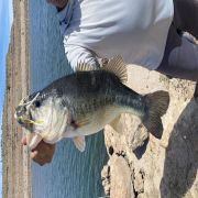 Happy Angler with amazing black bass catch Lake Bayacor