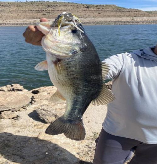Lake Bayacora – Bass fishing