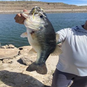 Presa Bayacora – Pesca de Lobina