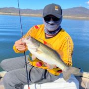 amazing black bass catch at Lake Baccarac Sinaloa Mexico