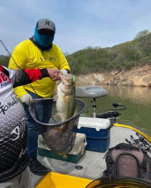 Lake Huites – Bass fishing