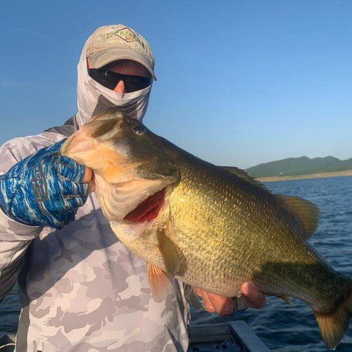 Lake Baccarac – Bass fishing