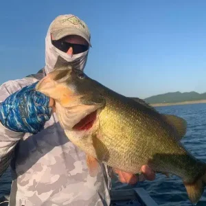 Lake Baccarac – Bass fishing Day Trip