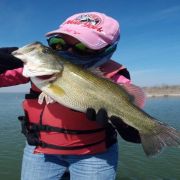 Black bass kiss at Lake el Cuchillo