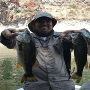 Triple bass catch at Lake Zimapan