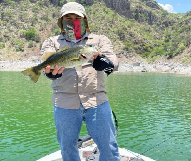 Presa Zimapán – Pesca de Lobina