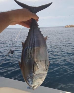 Topolobampo – Pesca en Altamar
