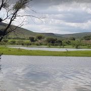 Presa Bayacora – Pesca de Lobina
