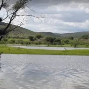 Presa Bayacora – Pesca de Lobina