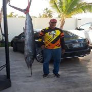 marlin catch at altata2