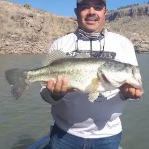 Lake Bayacora – Bass fishing