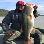 Amazing black bass catch at Lake Mahone