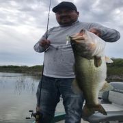 another great black bass catch at Lake El Sabino
