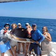 offshore Balck Marlin Cancun