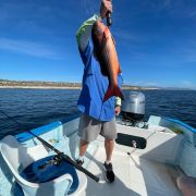 Angler showinf of his snappers catch in Bahía de los Sueños
