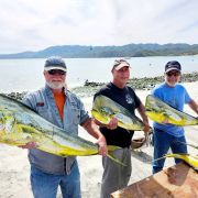 Happy anglers display mahi mahi catches at ensenada de los muertos