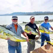 Happy anglers display mahi mahi catches at ensenada de los muertos