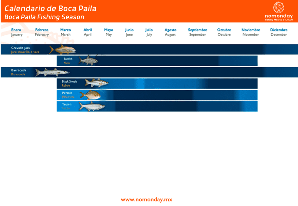 Boca Paila Fishing Calendar