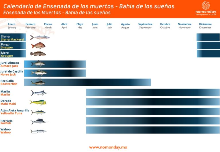Fishing Seasons at Ensenada de los Muertos - Bahia de los sueños