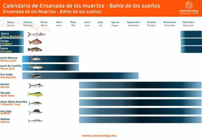 Fishing Seasons at Ensenada de los Muertos - Bahia de los sueños