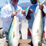 Land two yellowtails at once at Ensenada de los Muertos