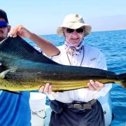 Mahi mahi fishing action
