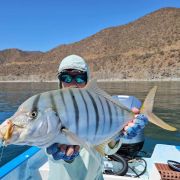 Jackfish fishing in Bahía de los Sueños