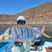 Jackfish fishing in Bahía de los Sueños