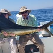 Mahi mahi swarm in Bahía de lo Sueños