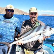 Roosterfish fishing glory starts in Baja!