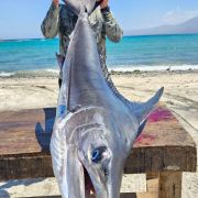 Beautiful Swordfish catch after an unforgettable fishing day trip