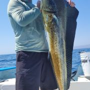 Experience Baja’s world-class fishing