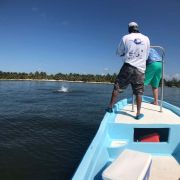 Great fishing at Boca Paila