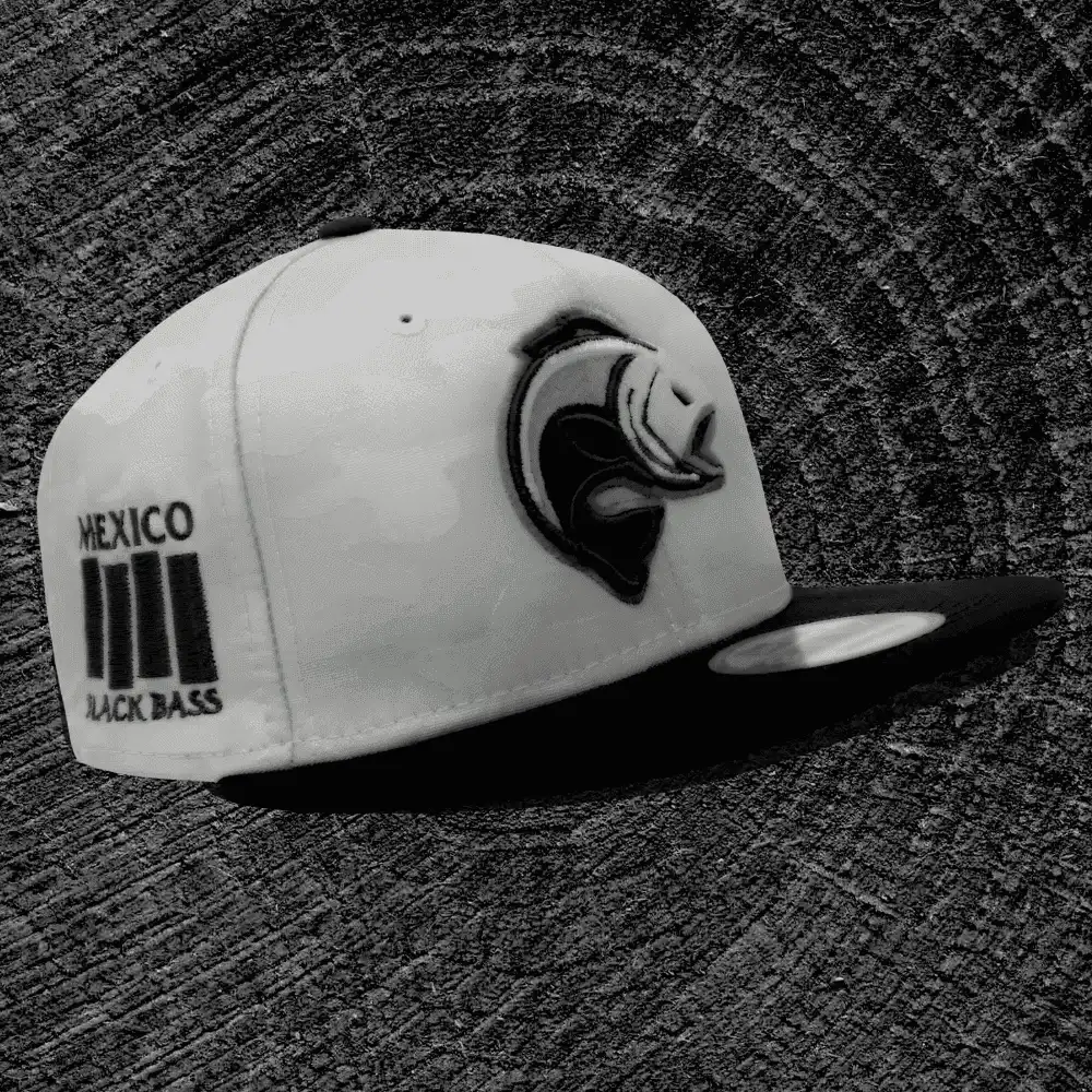 Carrusel-Mexico-bass-Bass-02.png