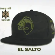 EL SALTO