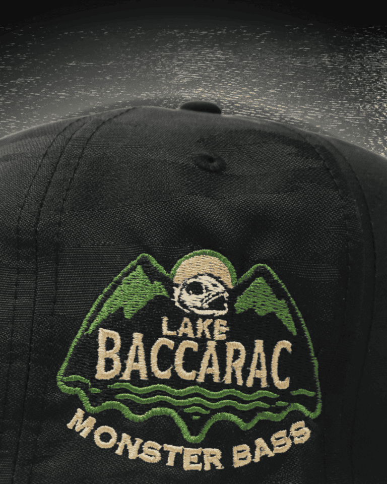 Remarketing - Logo Baccarac