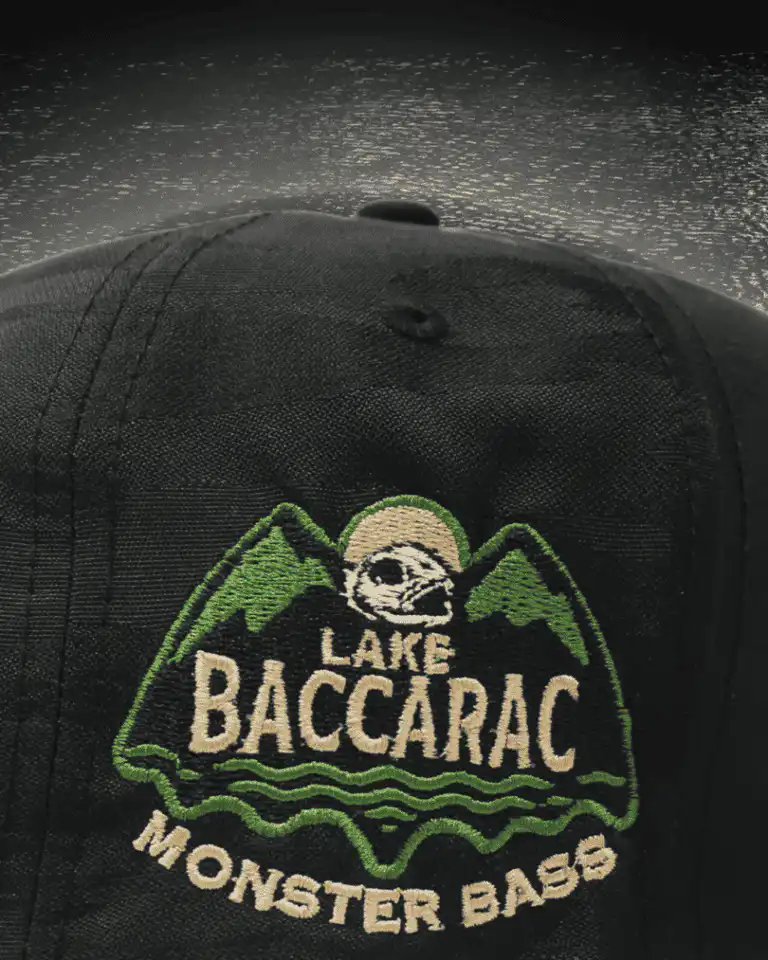 Remarketing - Logo Baccarac