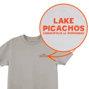 Bone Lake Picachos Detail