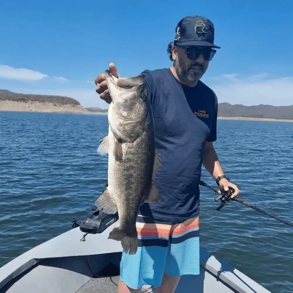 Fishing with blue shirt front logo